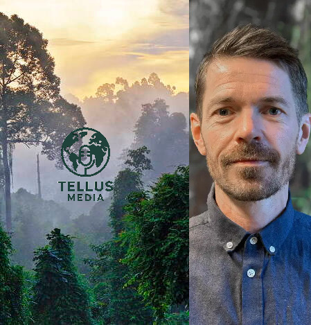 Gir milliarder til vern av regnskog